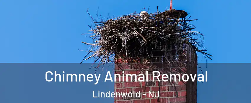 Chimney Animal Removal Lindenwold - NJ
