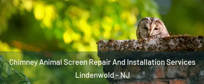 Chimney Animal Screen Repair And Installation Services Lindenwold - NJ
