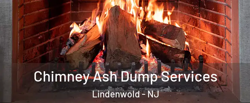 Chimney Ash Dump Services Lindenwold - NJ