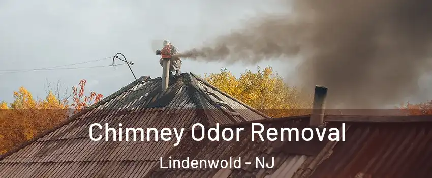 Chimney Odor Removal Lindenwold - NJ