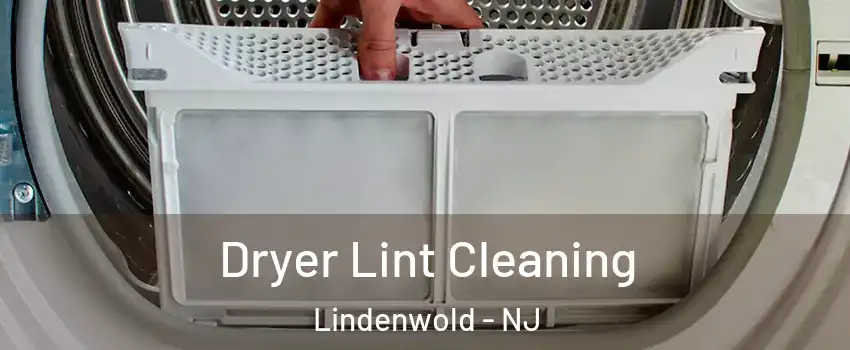 Dryer Lint Cleaning Lindenwold - NJ